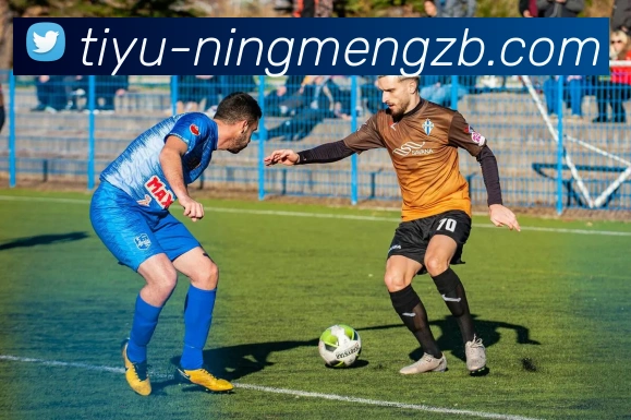 柠檬直播平台生态图